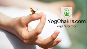  Yoga directory is built for all Yoga enthusiasts. Studio owners can list their Studio. Visitors can explore Yoga studios in their area.  Yoga can change the world for the better and YogChakra wants to be part of that change by helping you find the right studio!