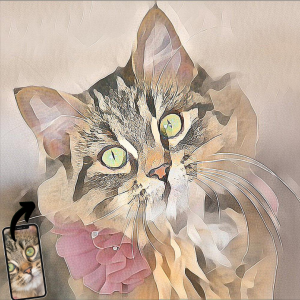 Image of a cat's pic on a mobile phone and the same cat turned into stunning wall art