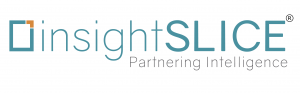 High Speed Surgical Drill Market - insightSLICE