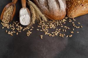 Malt Ingredients Market to grow at a CAGR of over 5.2% from 2023 to 2032