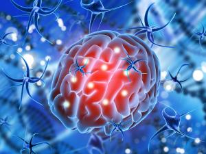 Neurotrophins Market is Huge Growth in the coming years, with a CAGR of 7.8% by 2032